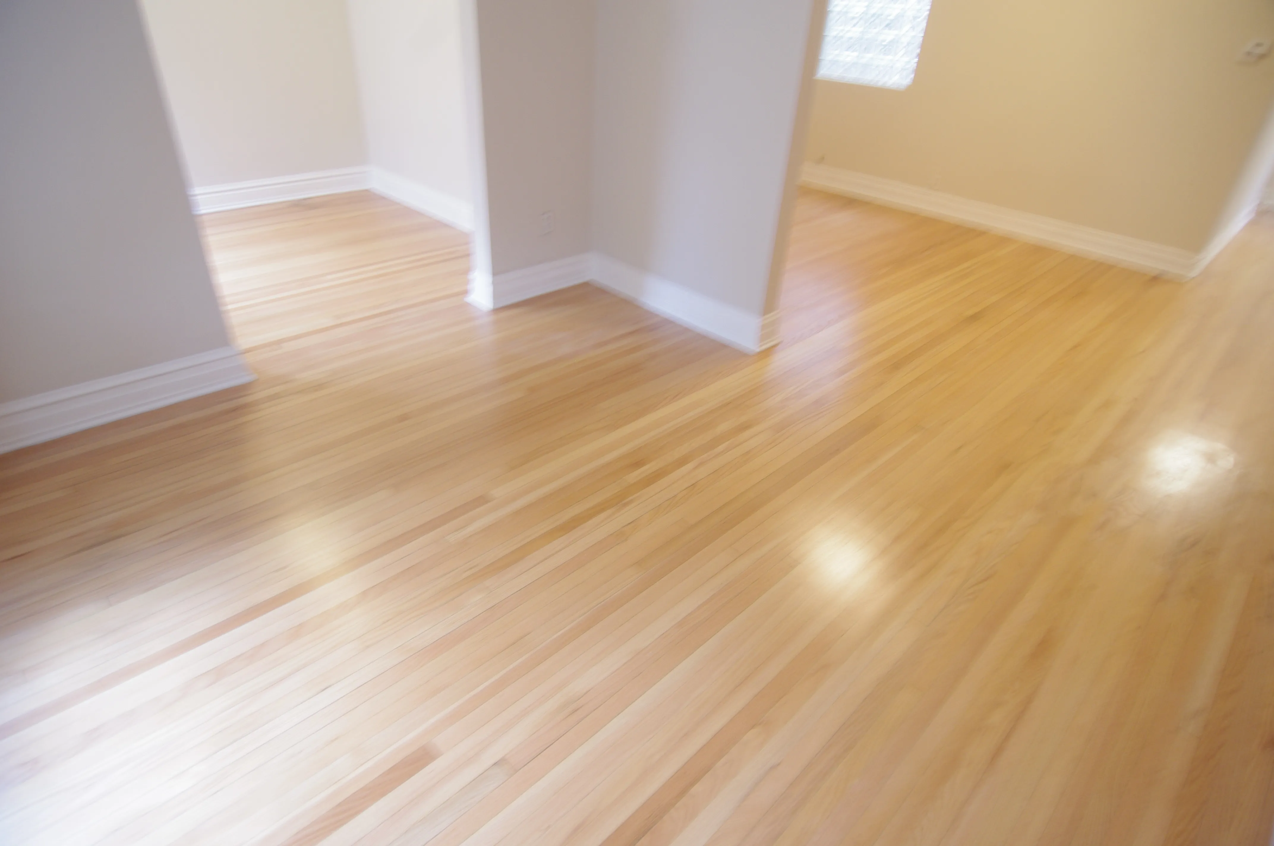 1522 W Sunnyside Ave   60640 60640-Sunnyside -unit#1-Chicago-IL