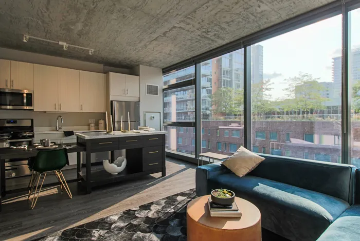 717 S Clark St 60605 60605-unit#1516-Chicago-IL