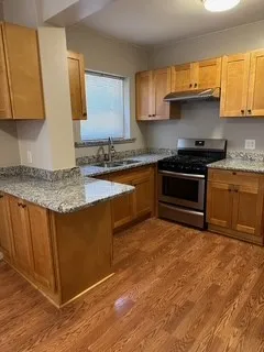 2940 S Union Ave 60616 60616-unit#1st Front-Chicago-IL