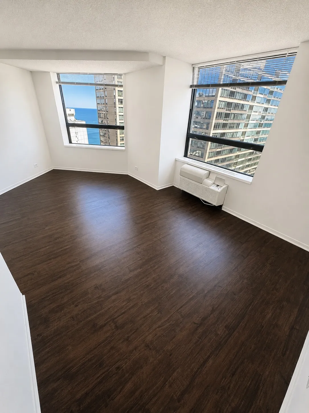 445 E Ohio St 60611 60611-unit#1218-Chicago-IL