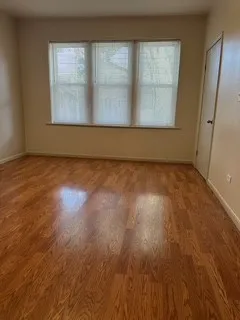 2940 S Union Ave 60616 60616-unit#1st Front-Chicago-IL