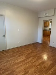 2940 S Union Ave 60616 60616-unit#1st Front-Chicago-IL