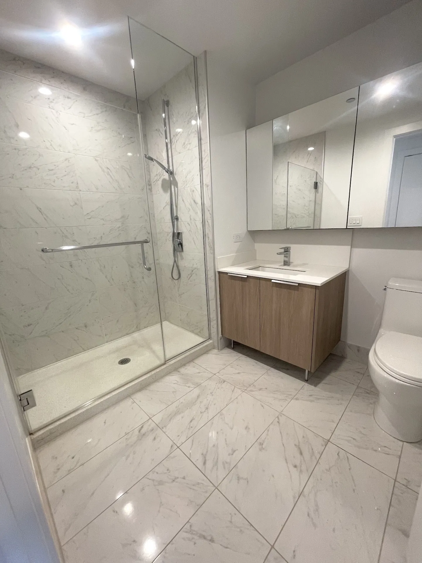 1140 N Wells St 60610 60610-unit#1805-Chicago-IL