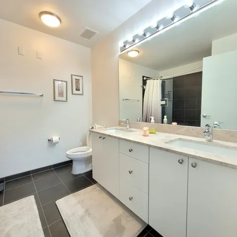 235 W Van Buren St 60607 60607-unit#3902-Chicago-IL