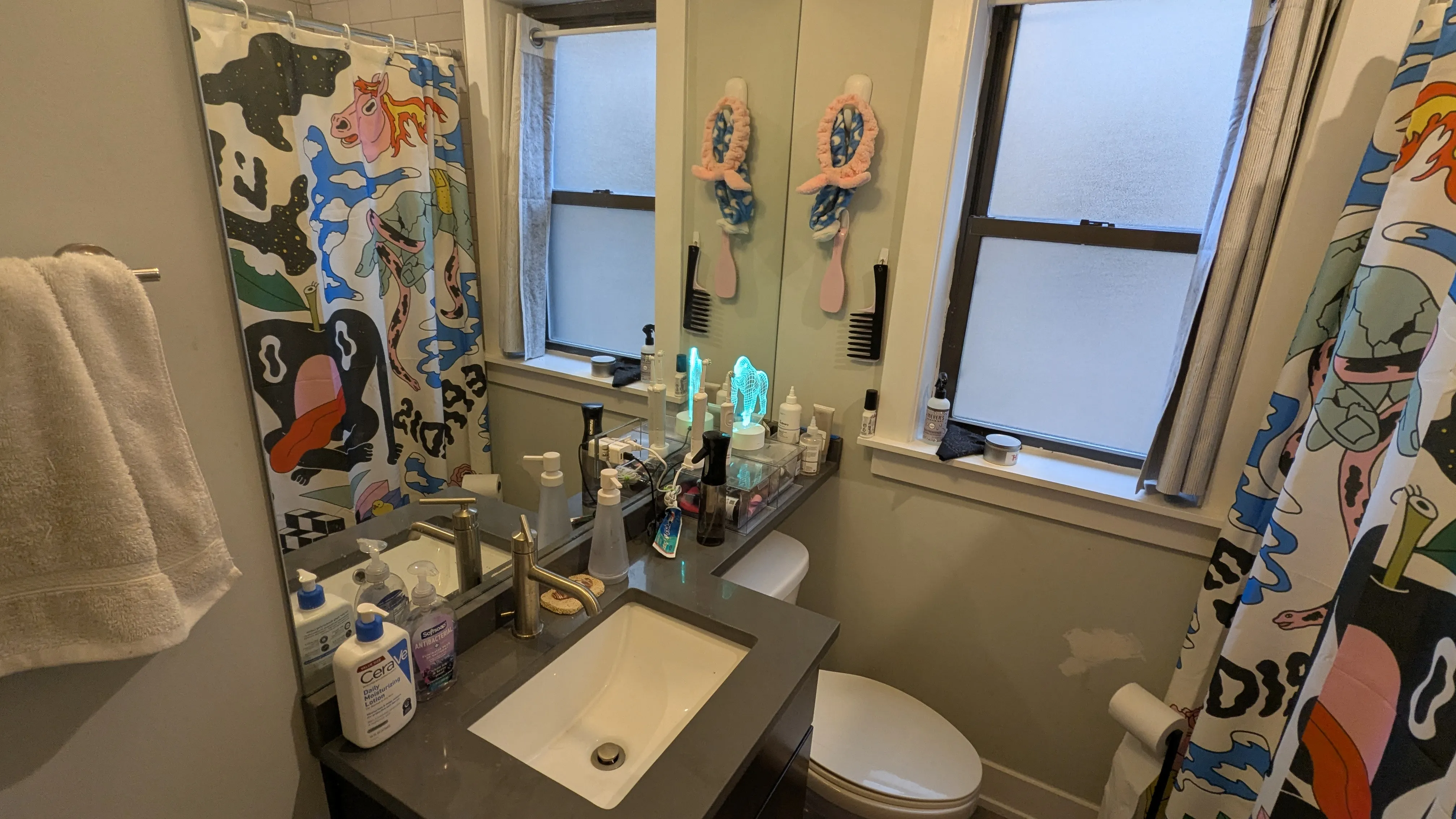 916 Crain St 60202 60202-unit#2-Evanston-IL