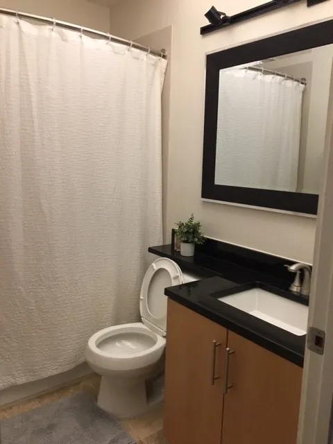 3159 N Seminary Ave   60657 60657-Seminary Lofts-unit#202-Chicago-IL