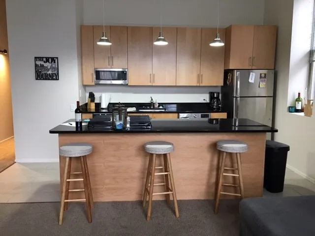 3159 N Seminary Ave   60657 60657-Seminary Lofts-unit#202-Chicago-IL