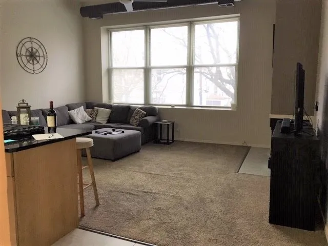 3159 N Seminary Ave   60657 60657-Seminary Lofts-unit#202-Chicago-IL