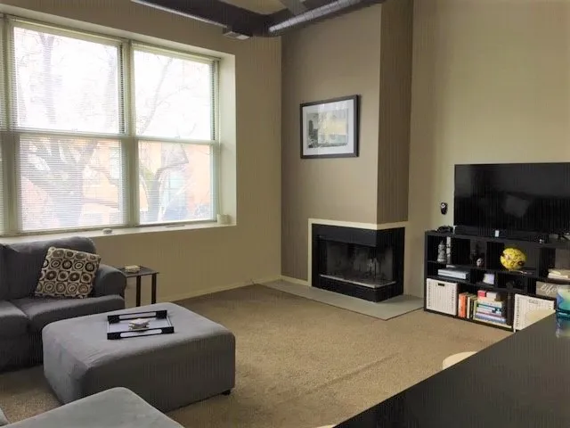 3159 N Seminary Ave   60657 60657-Seminary Lofts-unit#202-Chicago-IL