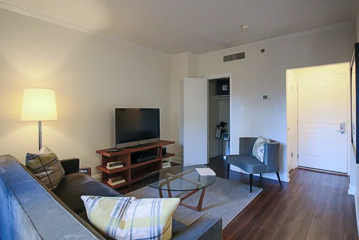 200 E Chestnut St 60611 60611-unit#1216-Chicago-IL