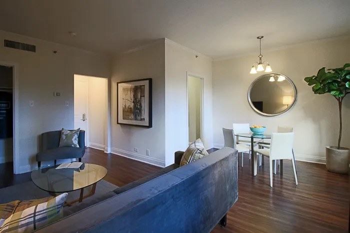 200 E Chestnut St 60611 60611-unit#1216-Chicago-IL