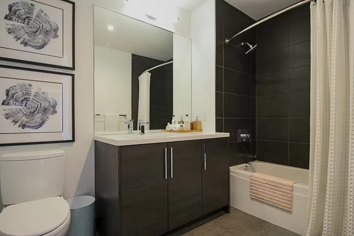 625 W Division St   60610 60610-unit#1506-Chicago-IL