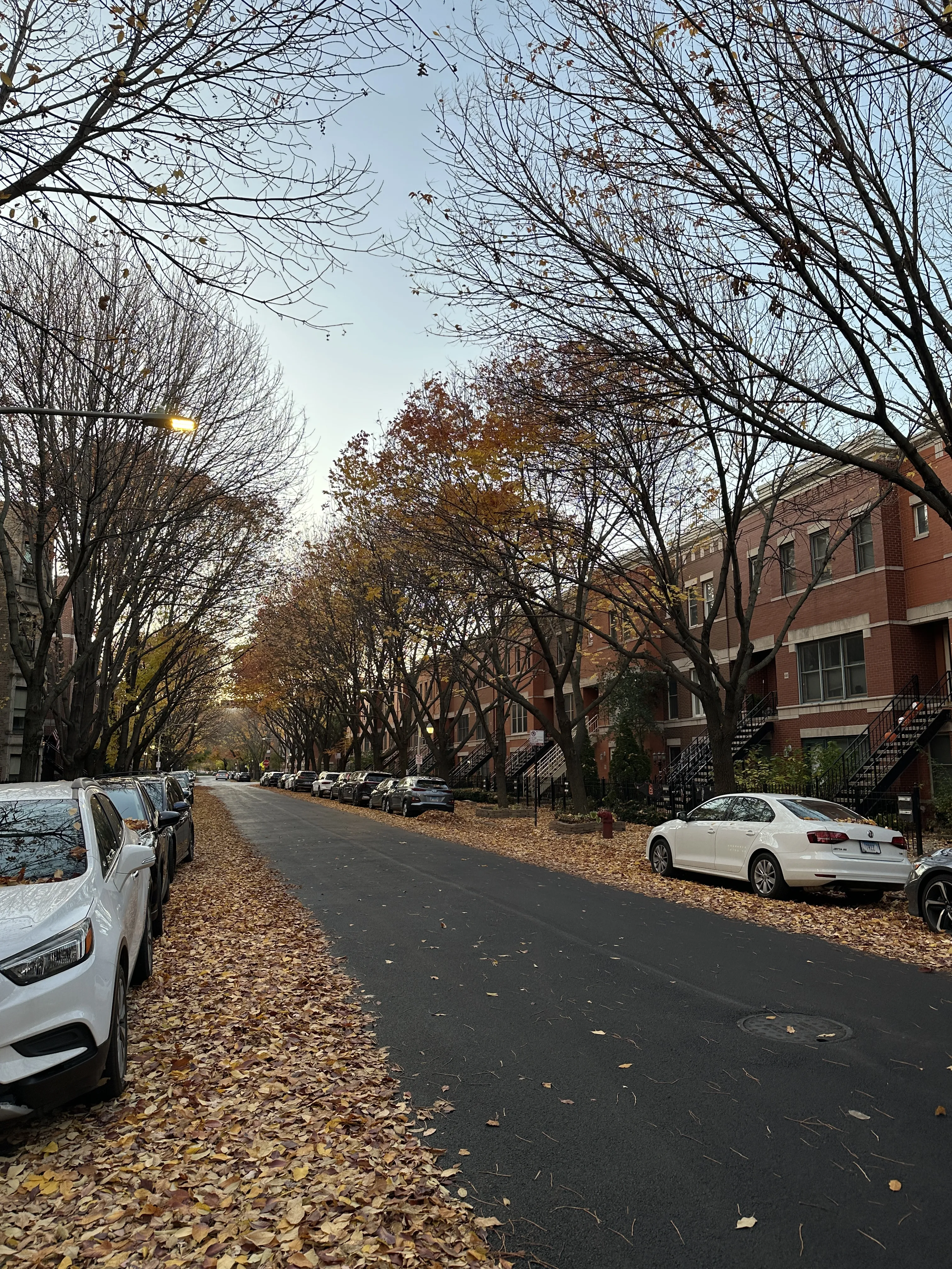 W. Fillmore St 60607-unit#2-Chicago-IL
