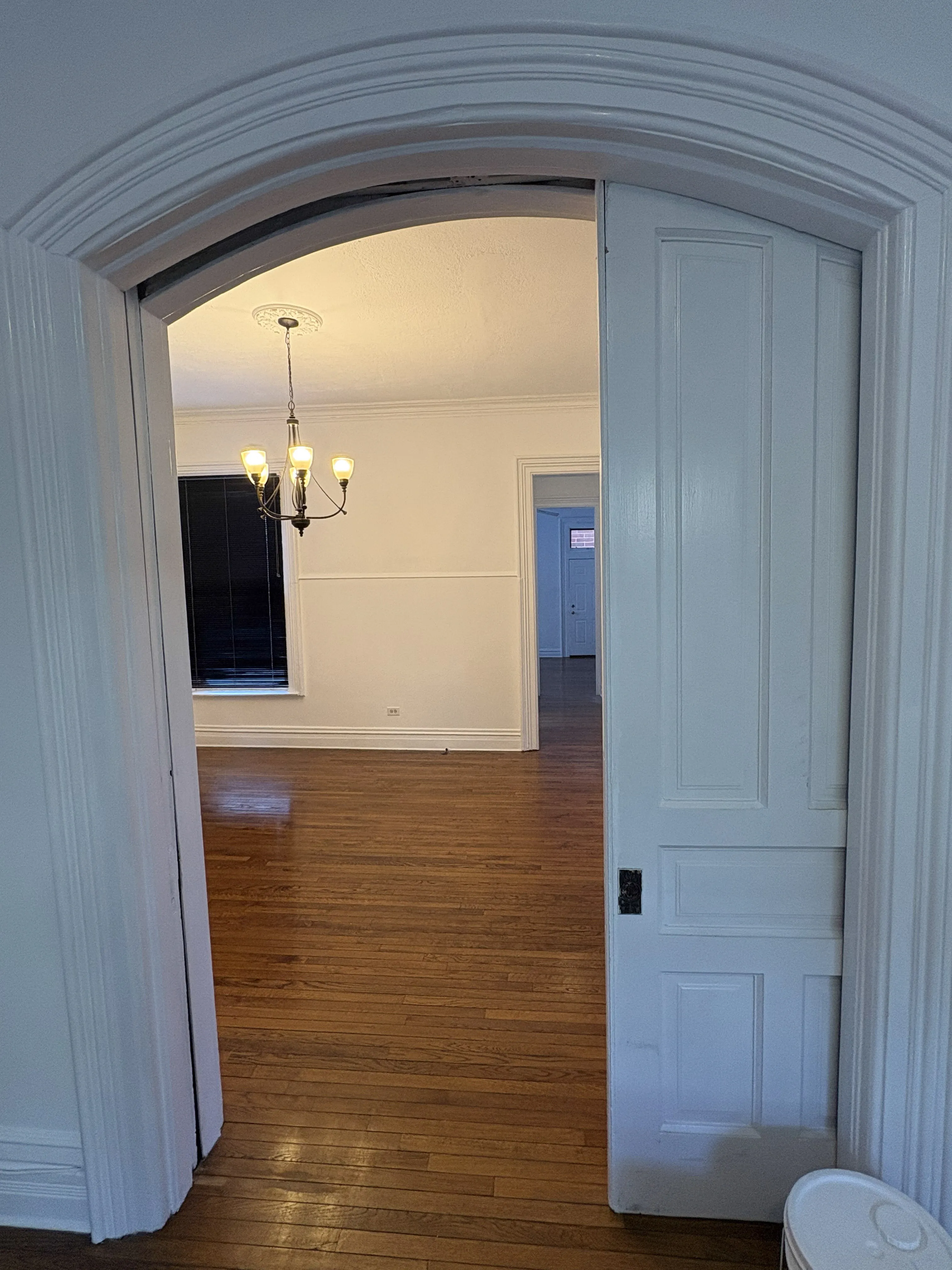 610 W Briar Pl   60657 60657-Two Flat-unit#1-Chicago-IL