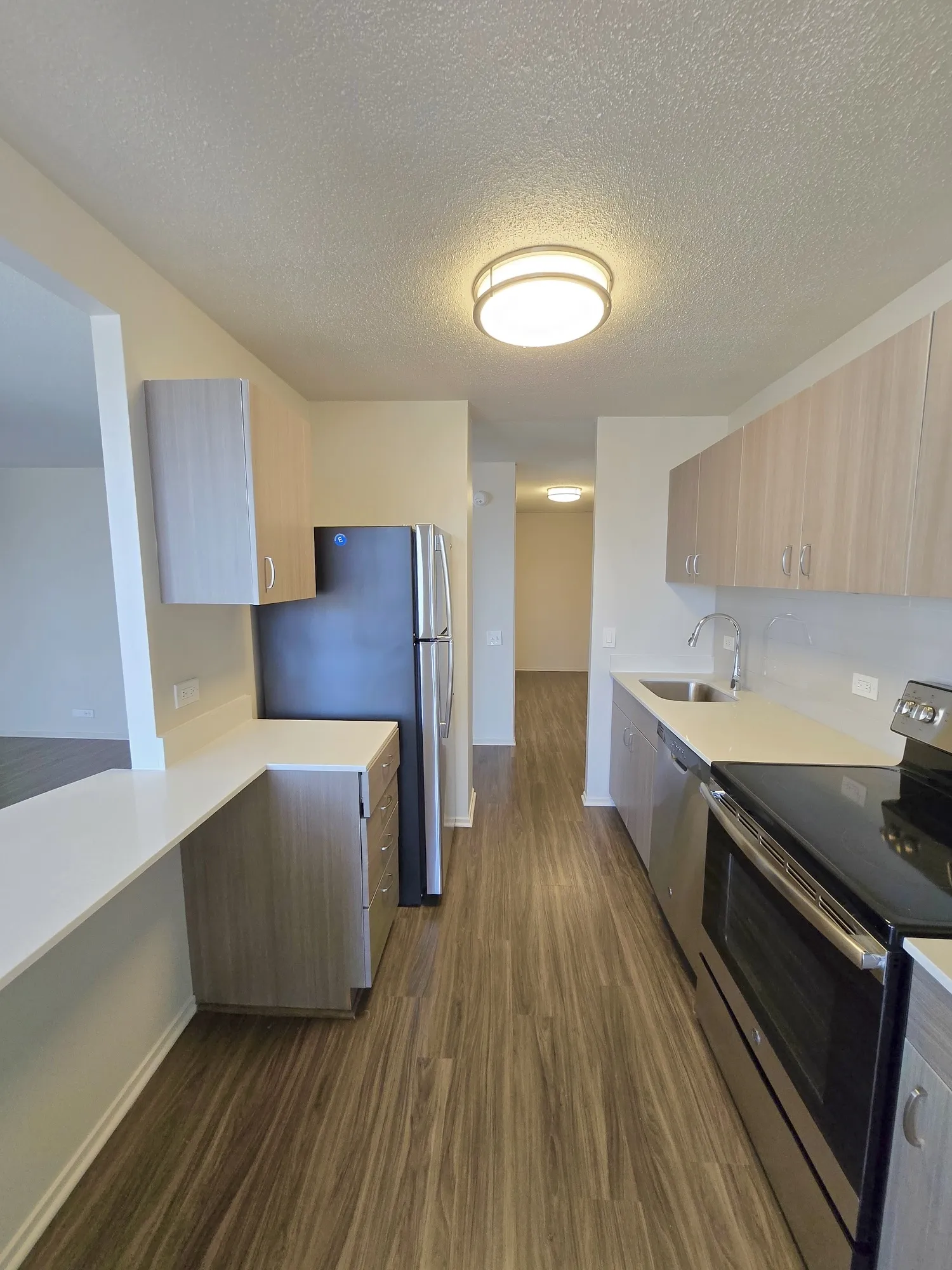 1130 N Dearborn St   60610 60610-unit#2407-Chicago-IL