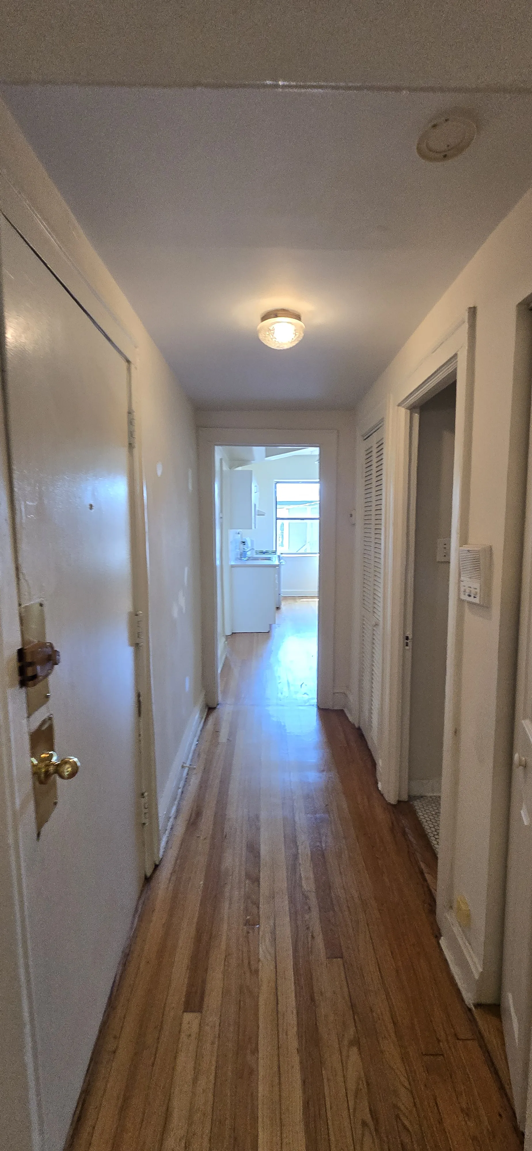 1551 W North Shore Ave 60626 60626-unit#2-Chicago-IL