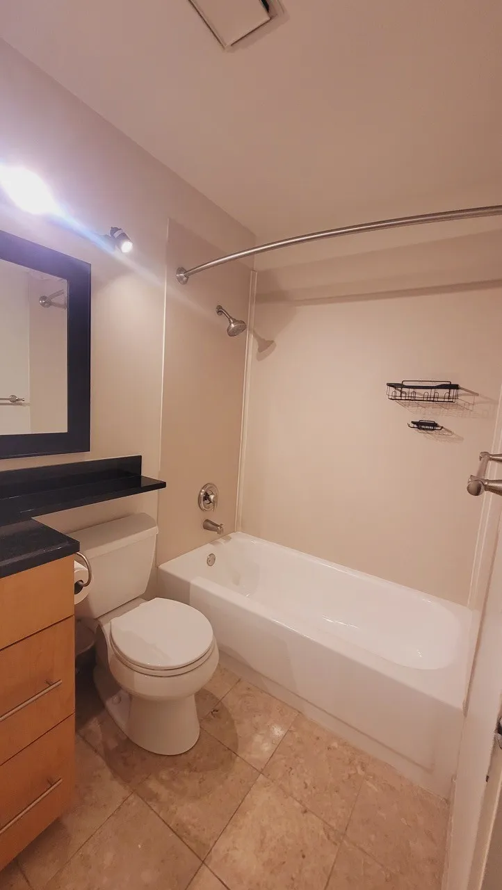 701 W Buckingham Pl 60657 60657- Buckingham Pews-unit#209-Chicago-IL