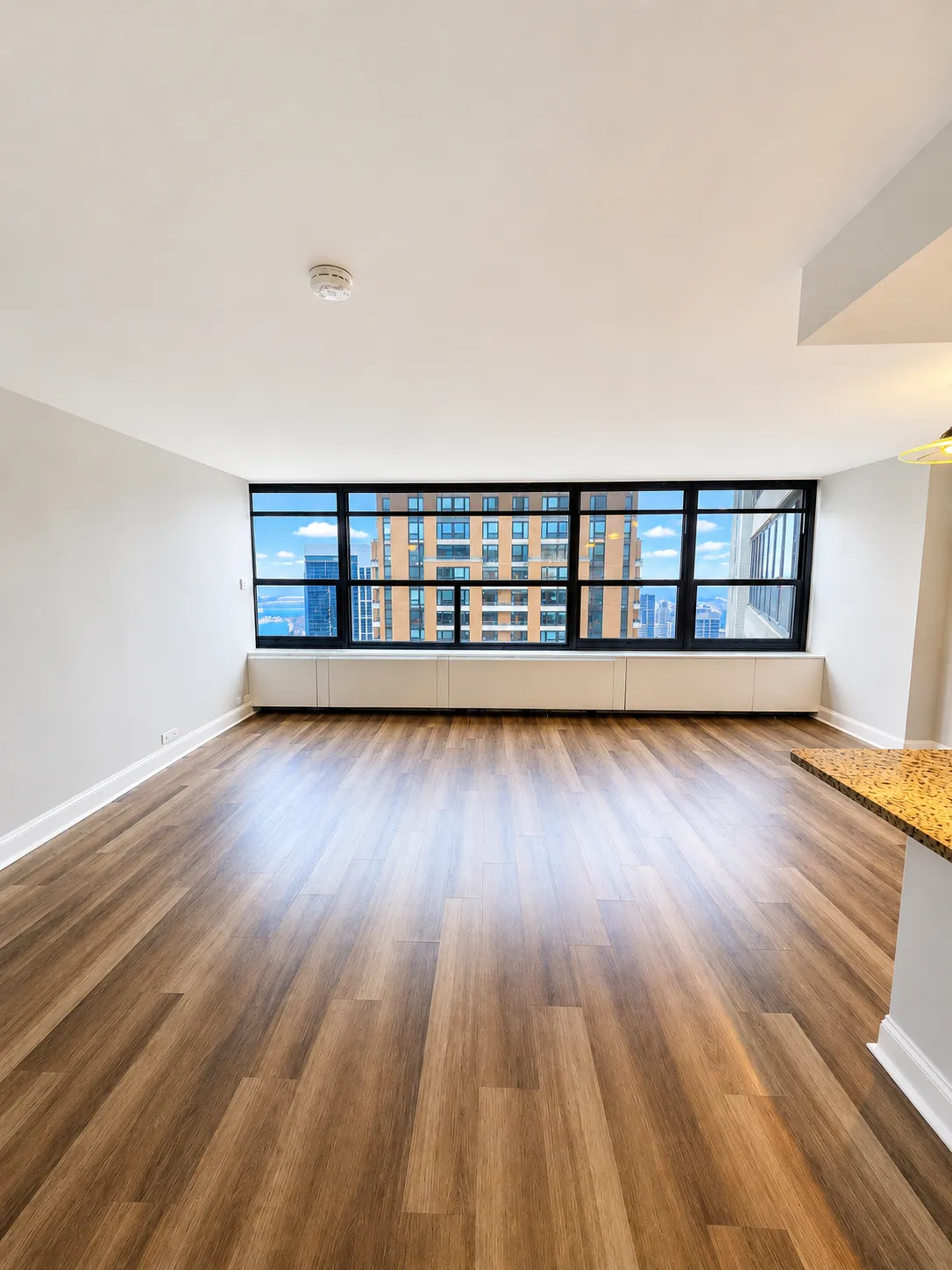 1130 S Michigan Ave 60605 60605-unit#3006-Chicago-IL