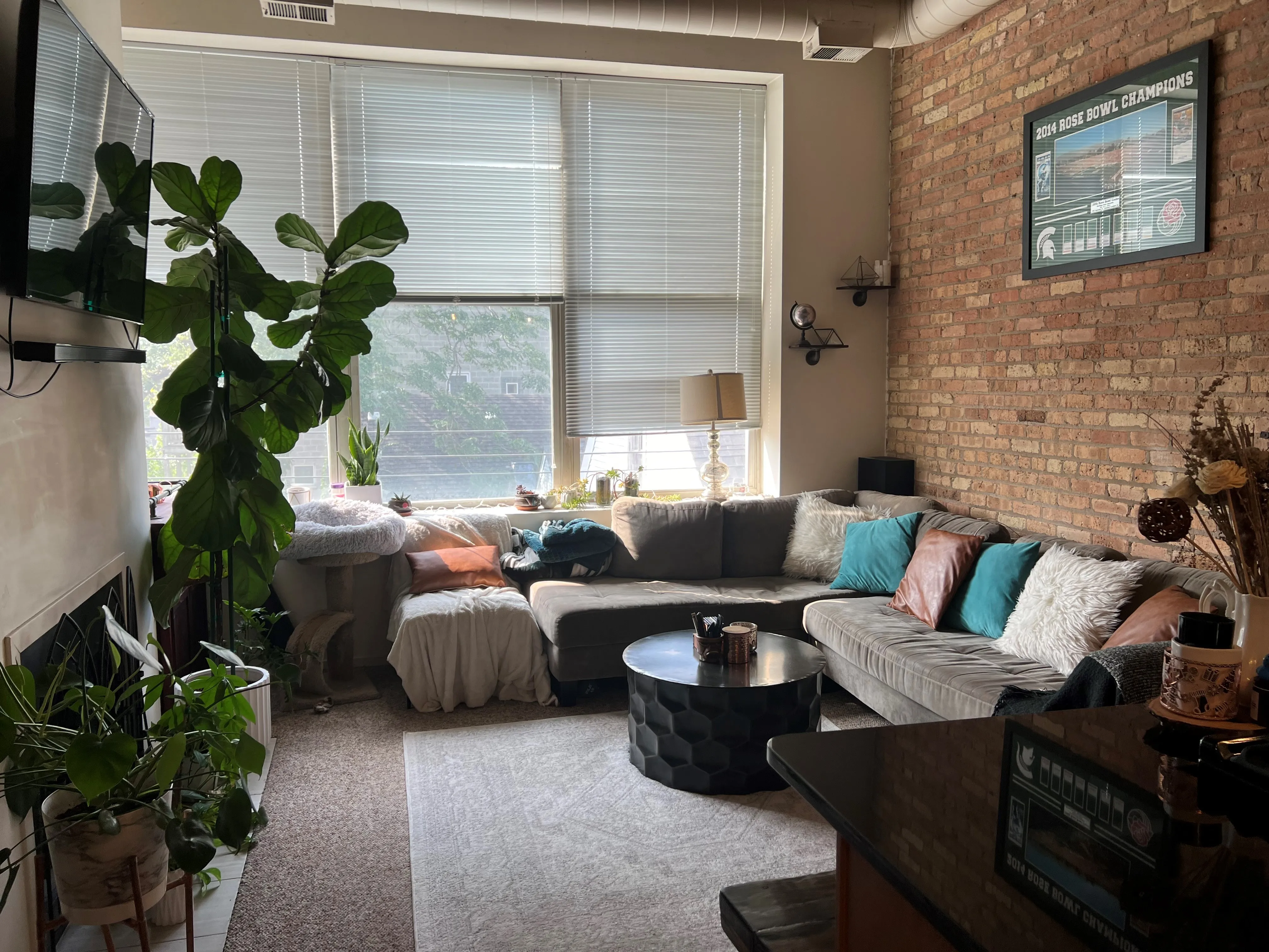 3159 N Seminary Ave 60657 60657-Seminary Lofts-unit#302-Chicago-IL
