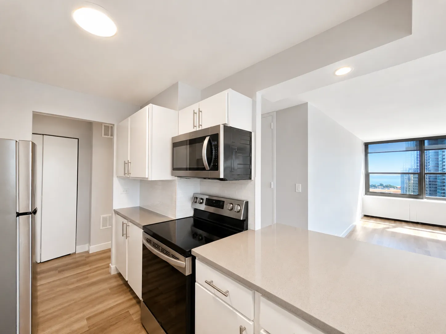 1130 N Dearborn St   60610 60610-unit#3004-Chicago-IL