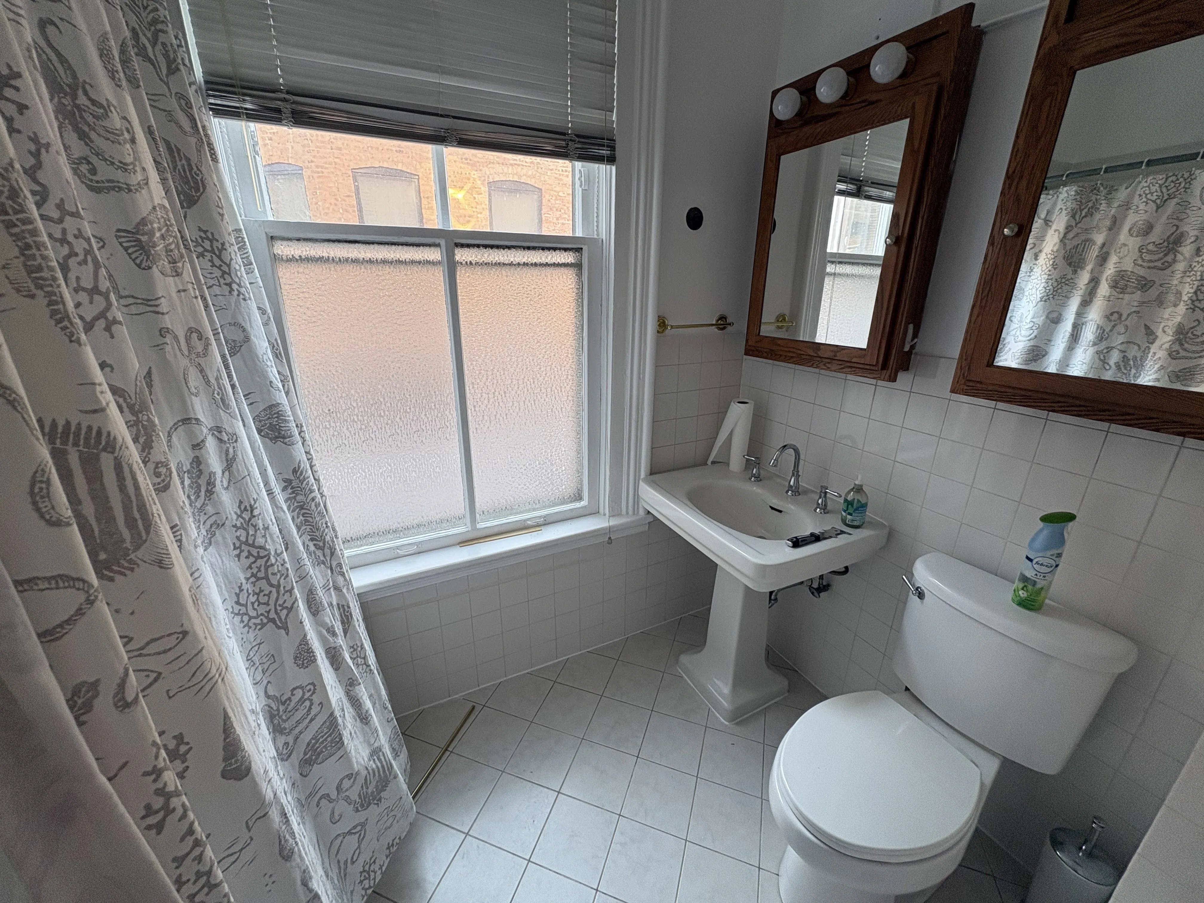 610 W Briar Pl   60657 60657-Two Flat-unit#1-Chicago-IL