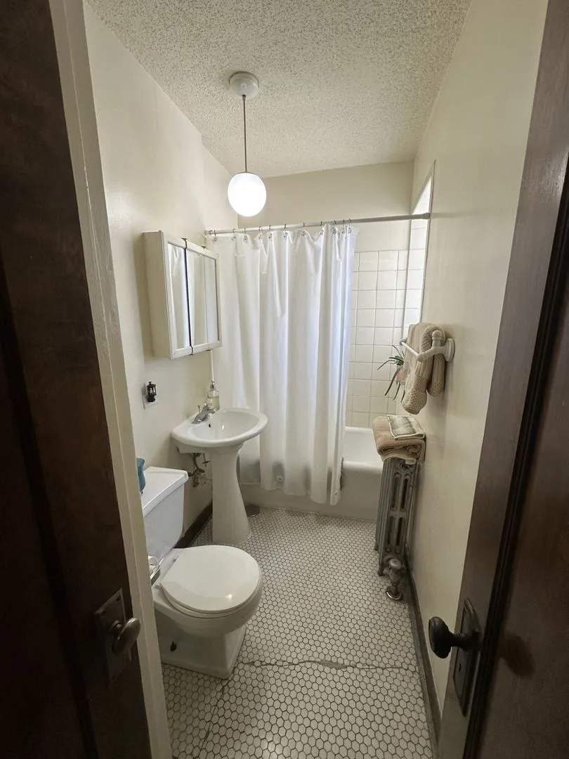 6234 N Bell Ave   60659 60659-Chicago-IL