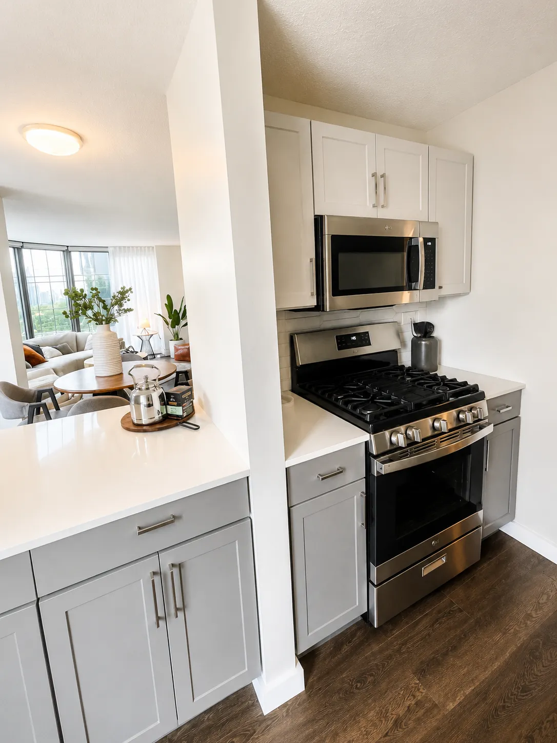 400 East South Water Street   60601 60601-unit#1011-Chicago-IL