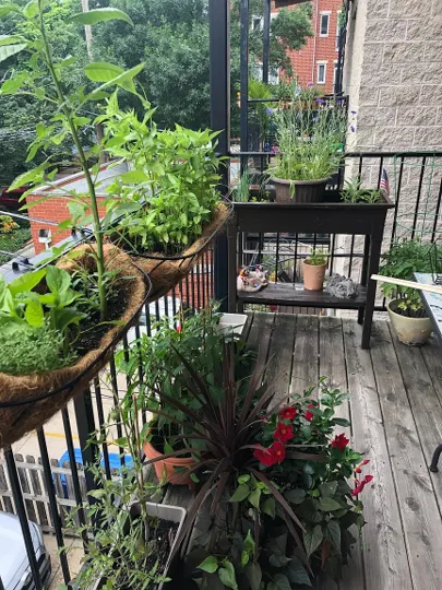 653 W Briar Pl 60657 60657-unit#2-Chicago-IL