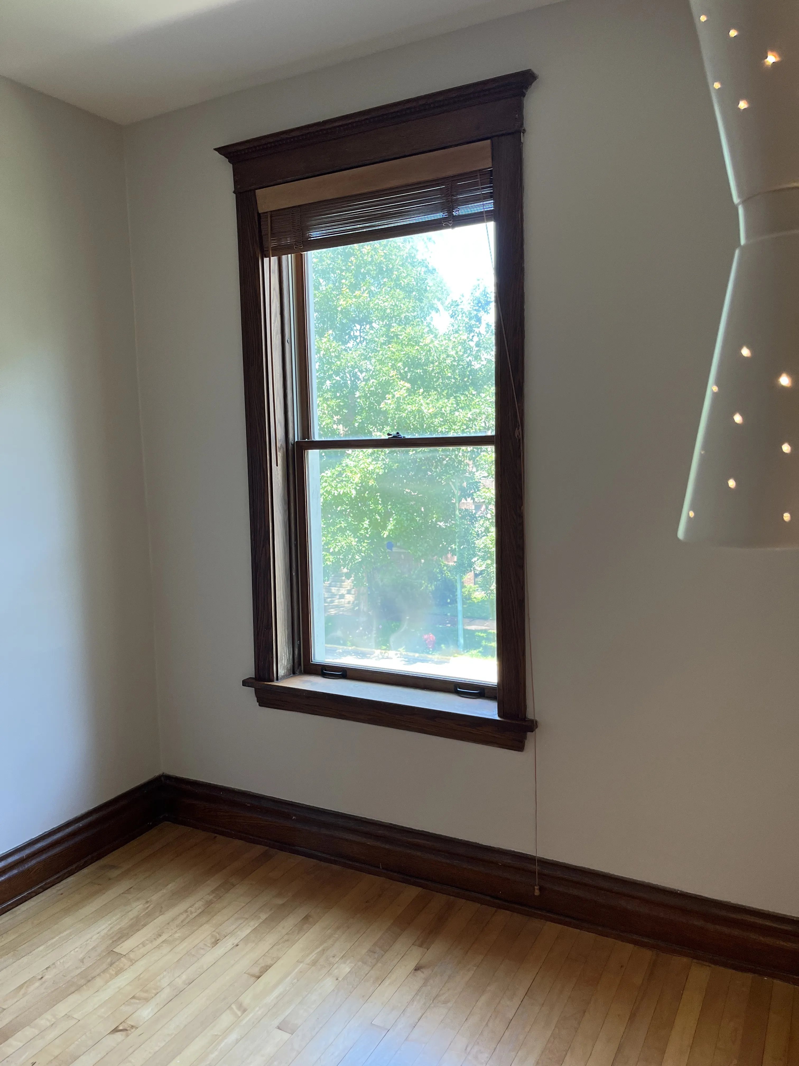 1925 W Eddy St   60657 60657-unit#2nd FL-Chicago-IL