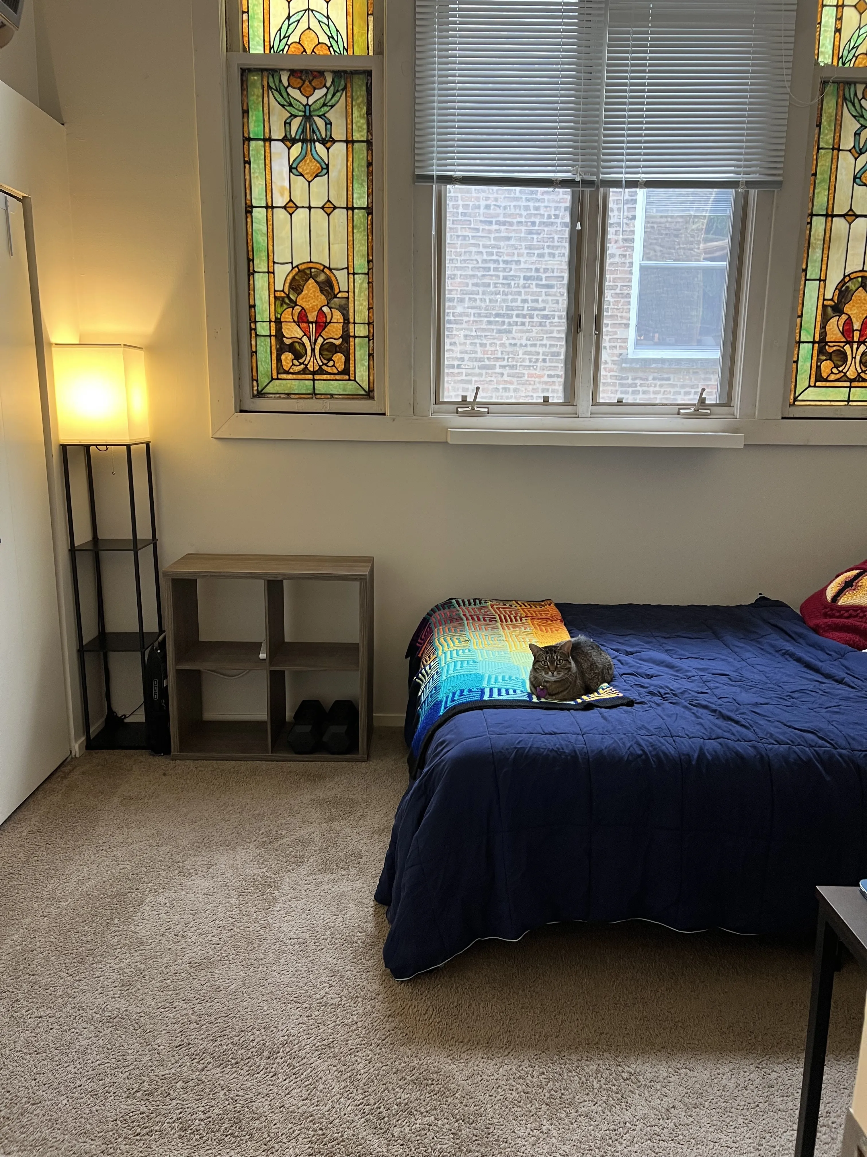 701 W Buckingham Pl 60657 60657- Buckingham Pews-unit#209-Chicago-IL