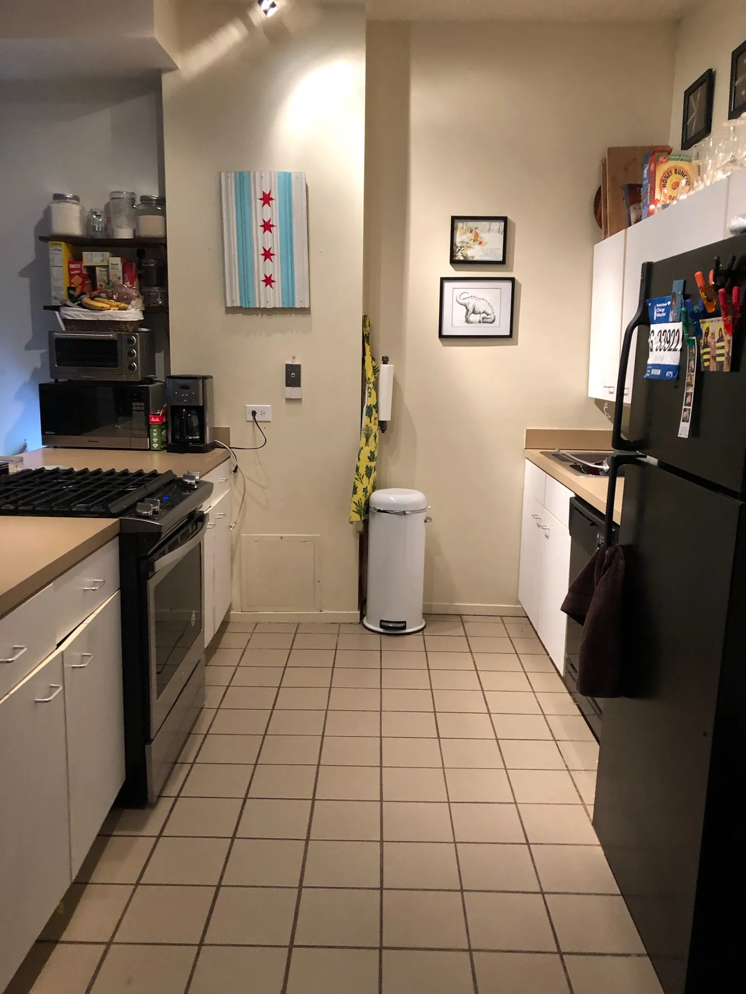 701 W Buckingham Pl   60657 60657- Buckingham Pews-unit#104-Chicago-IL