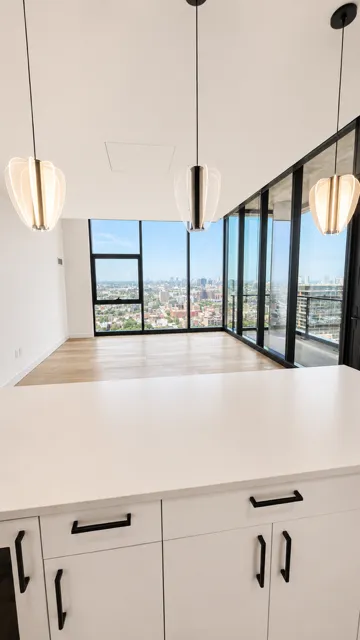 225 N Elizabeth St 60607 60607-unit#1806-Chicago-IL