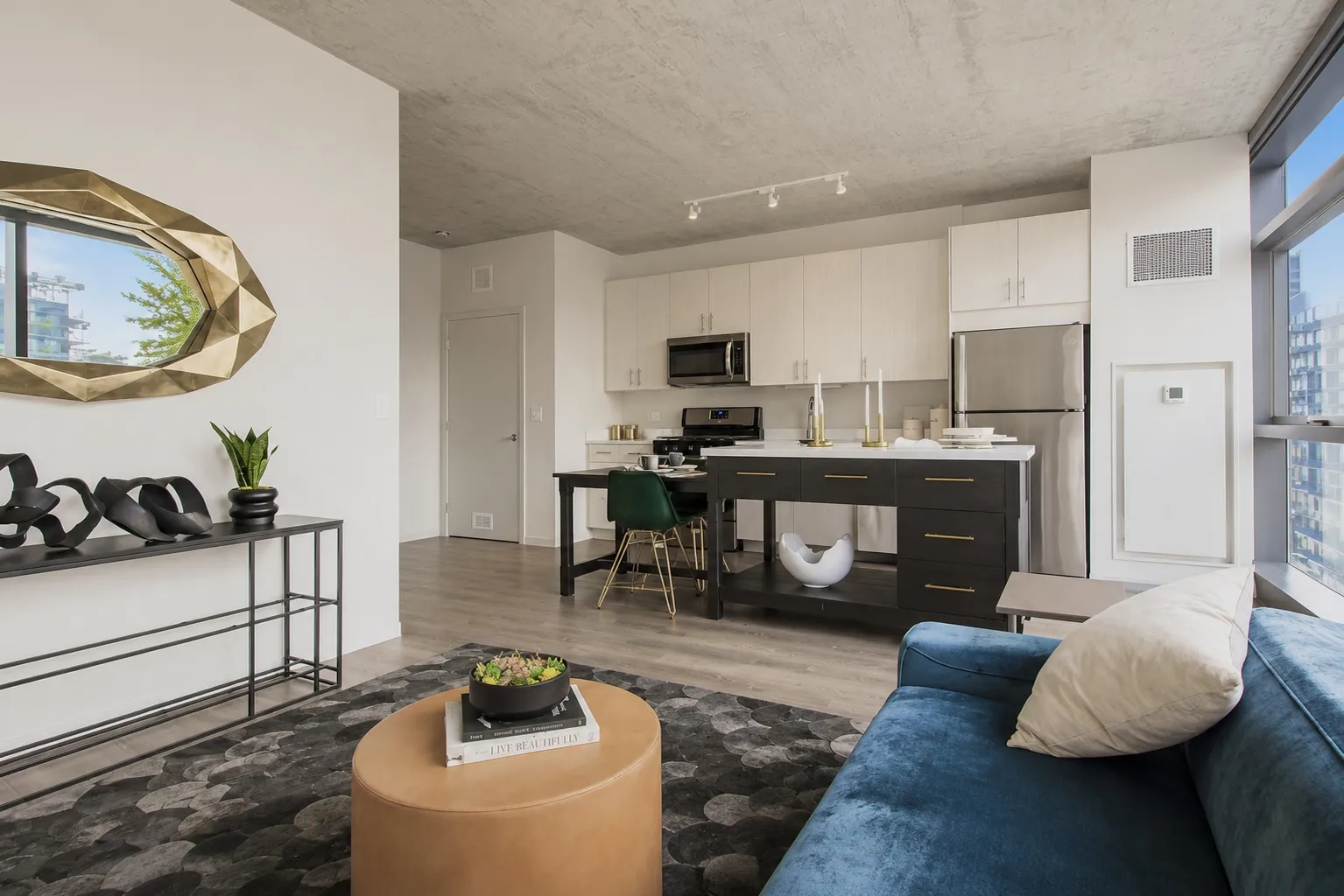 717 S Clark St   60605 60605-unit#1516-Chicago-IL