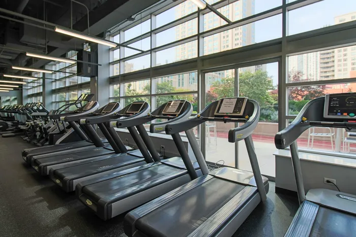 540 N Dearborn St   60610 60610-unit#2409-Chicago-IL