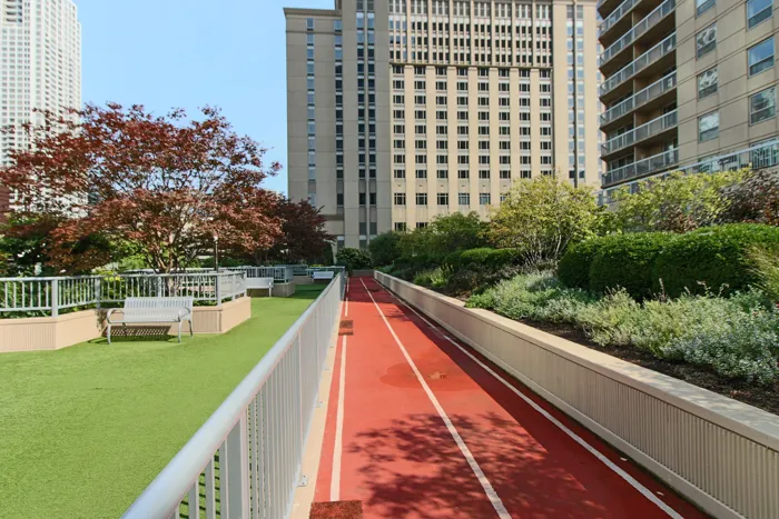 540 N Dearborn St   60610 60610-unit#2409-Chicago-IL