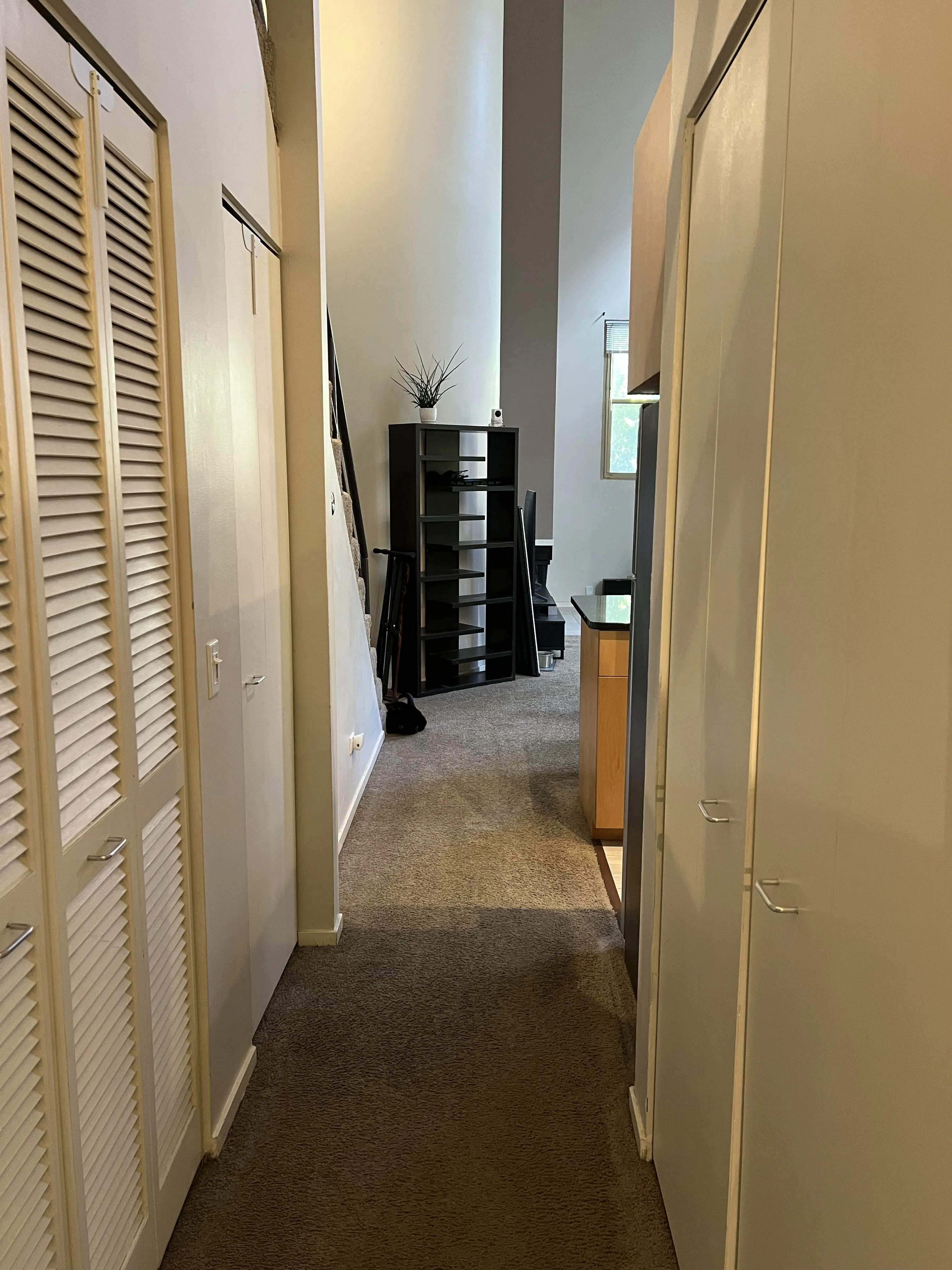 701 W Buckingham Pl 60657 60657- Buckingham Pews-unit#209-Chicago-IL