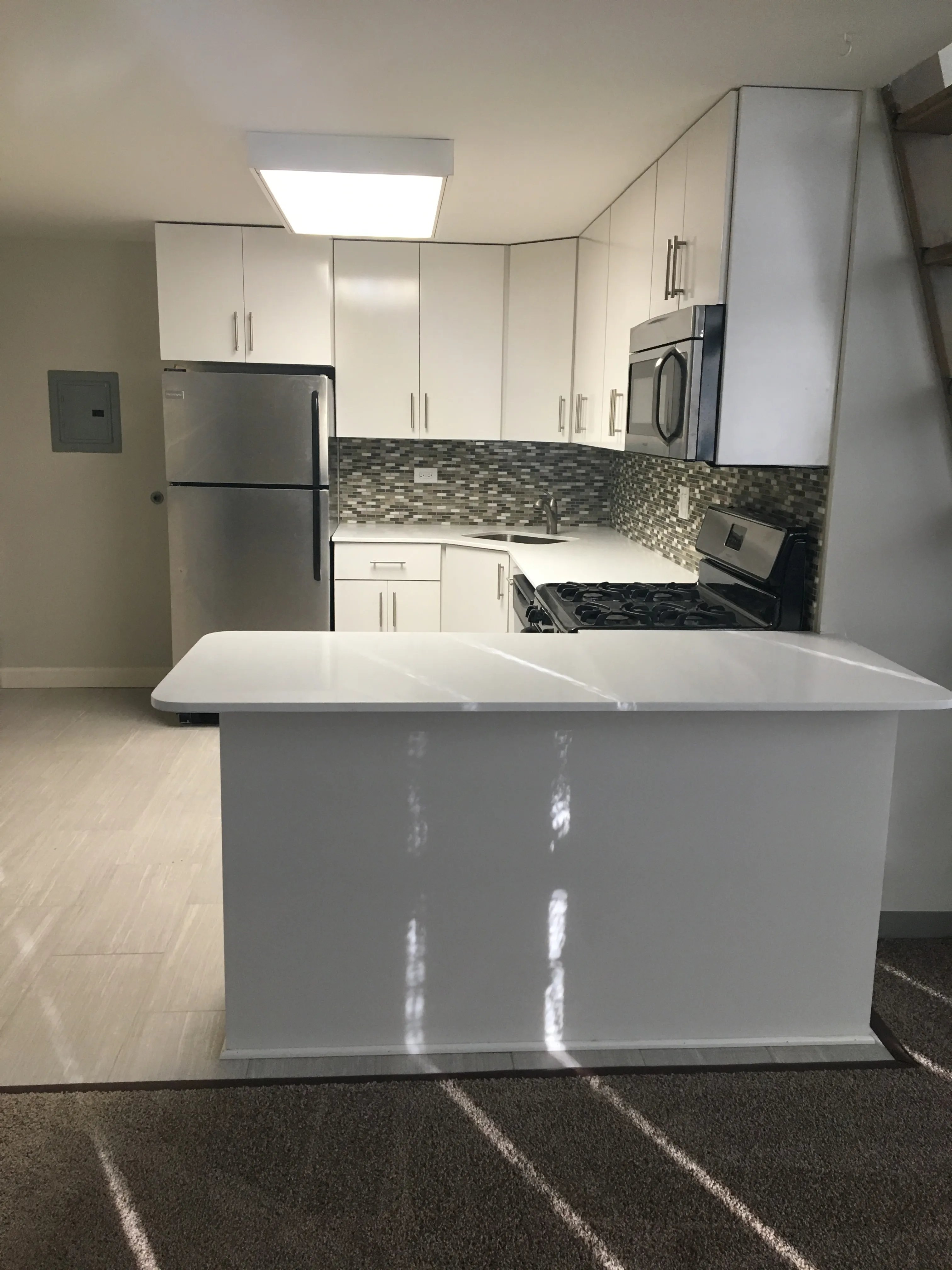 999 W Wolfram St 60657 60657-Sheffield Lofts-unit#405-Chicago-IL