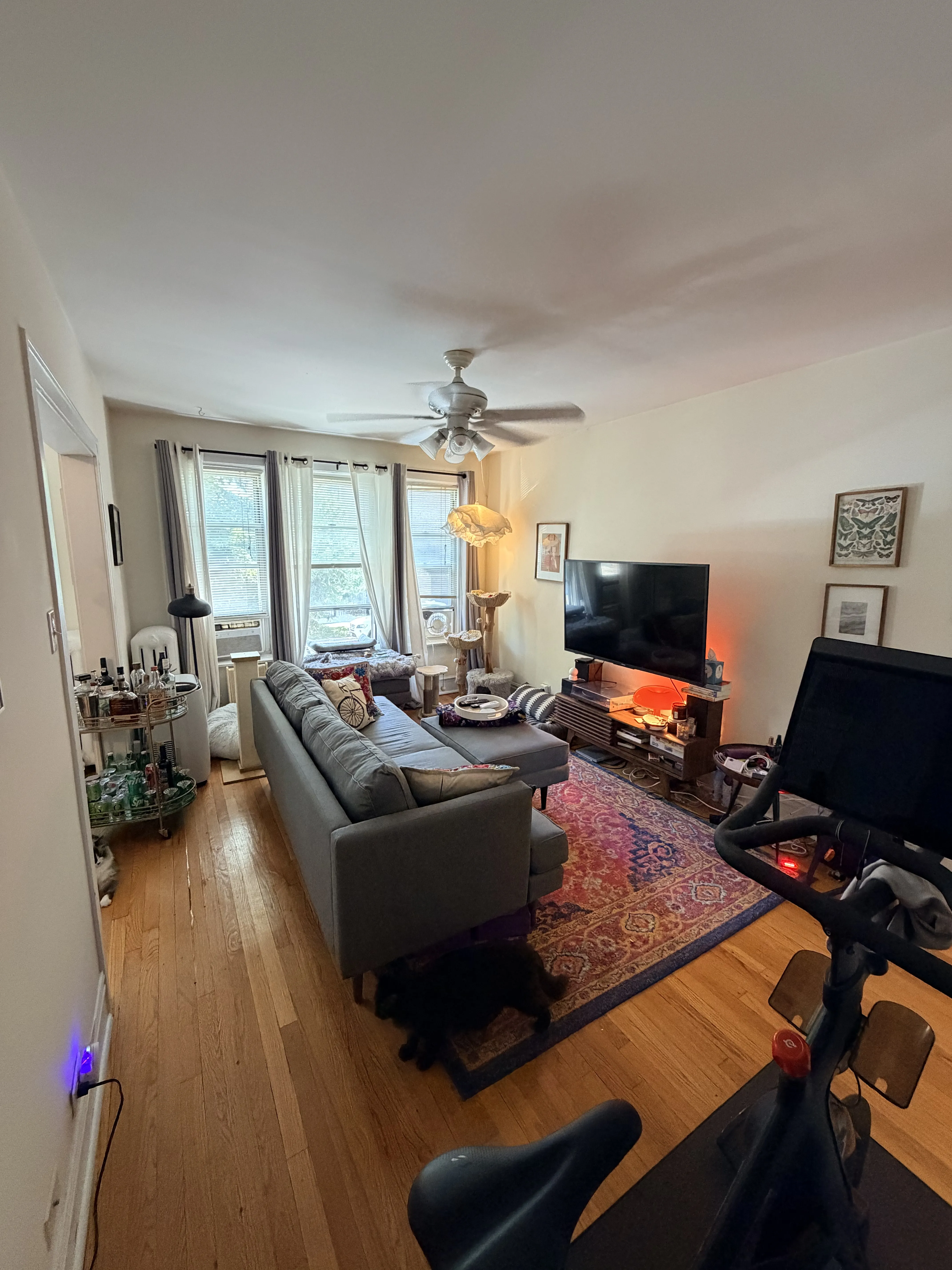 3708 N WOLCOTT AVE 60613-Wolcott Apartments-unit#Apt 1-Chicago-IL