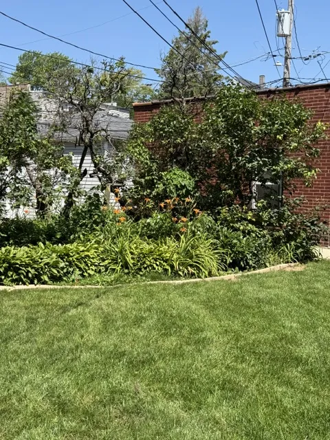 1638 W Berwyn Ave 60640 60640-unit#Garden-Chicago-IL