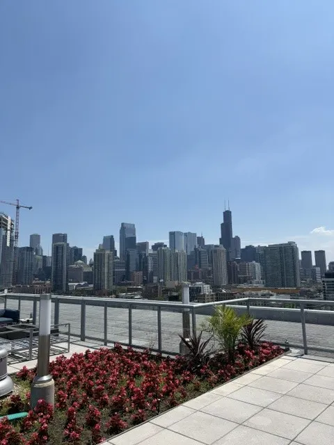 910 W Huron St 60642 60642-unit#802-Chicago-IL