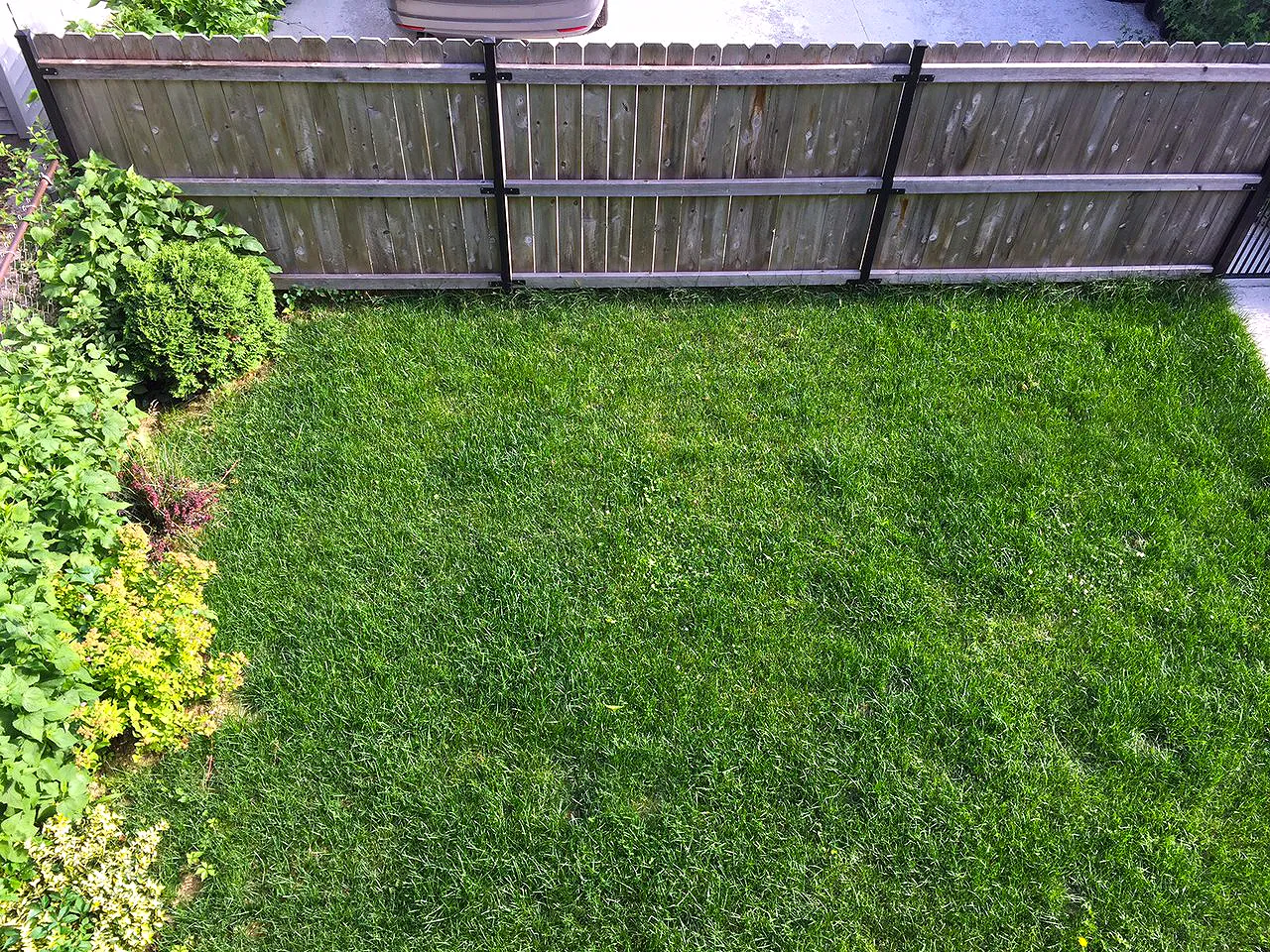 1462 W Farragut Ave   60640 60640-unit#1-Chicago-IL