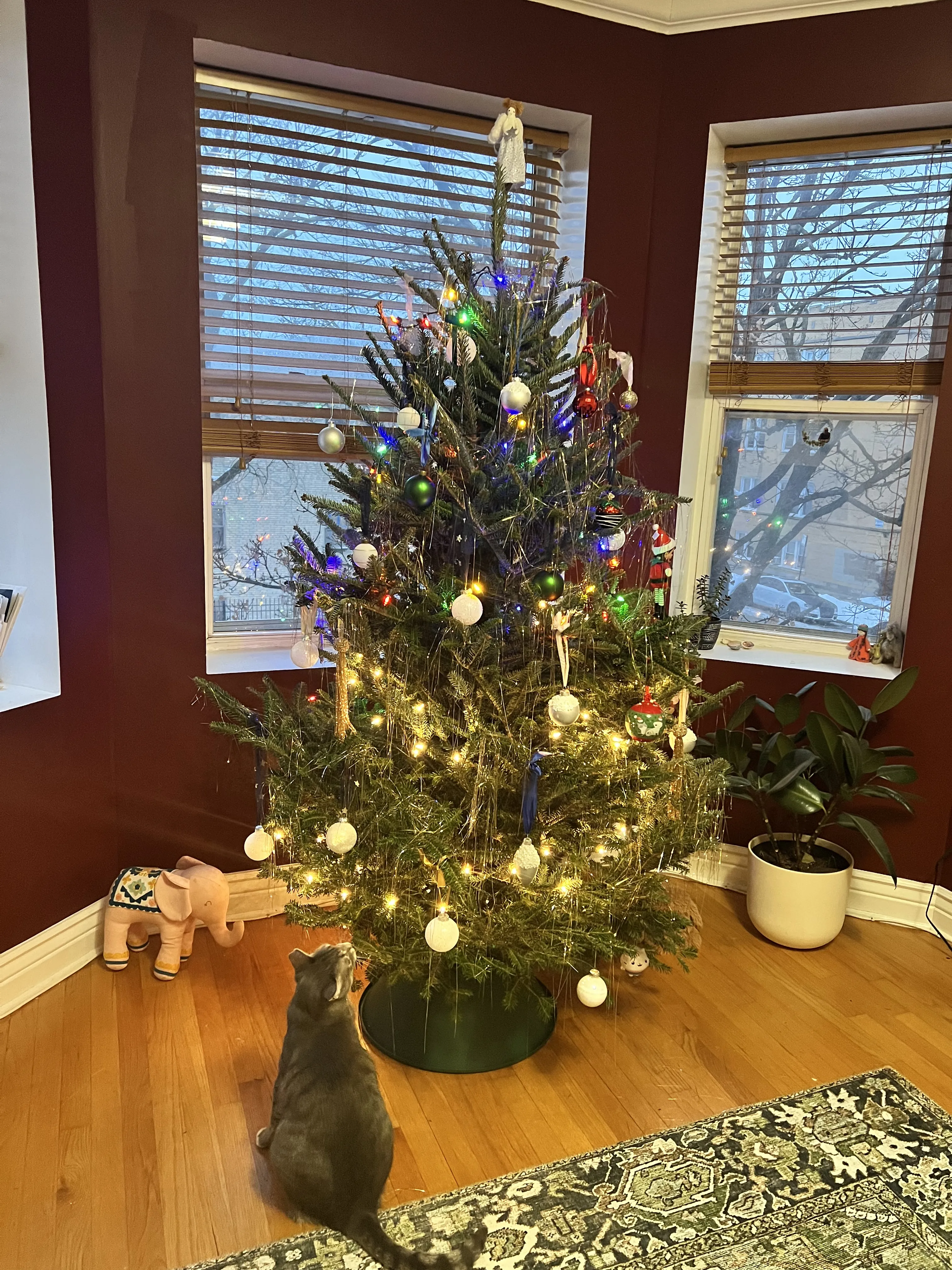 6102 N Mozart St Apt 2,   60659-unit#2-Chicago-IL