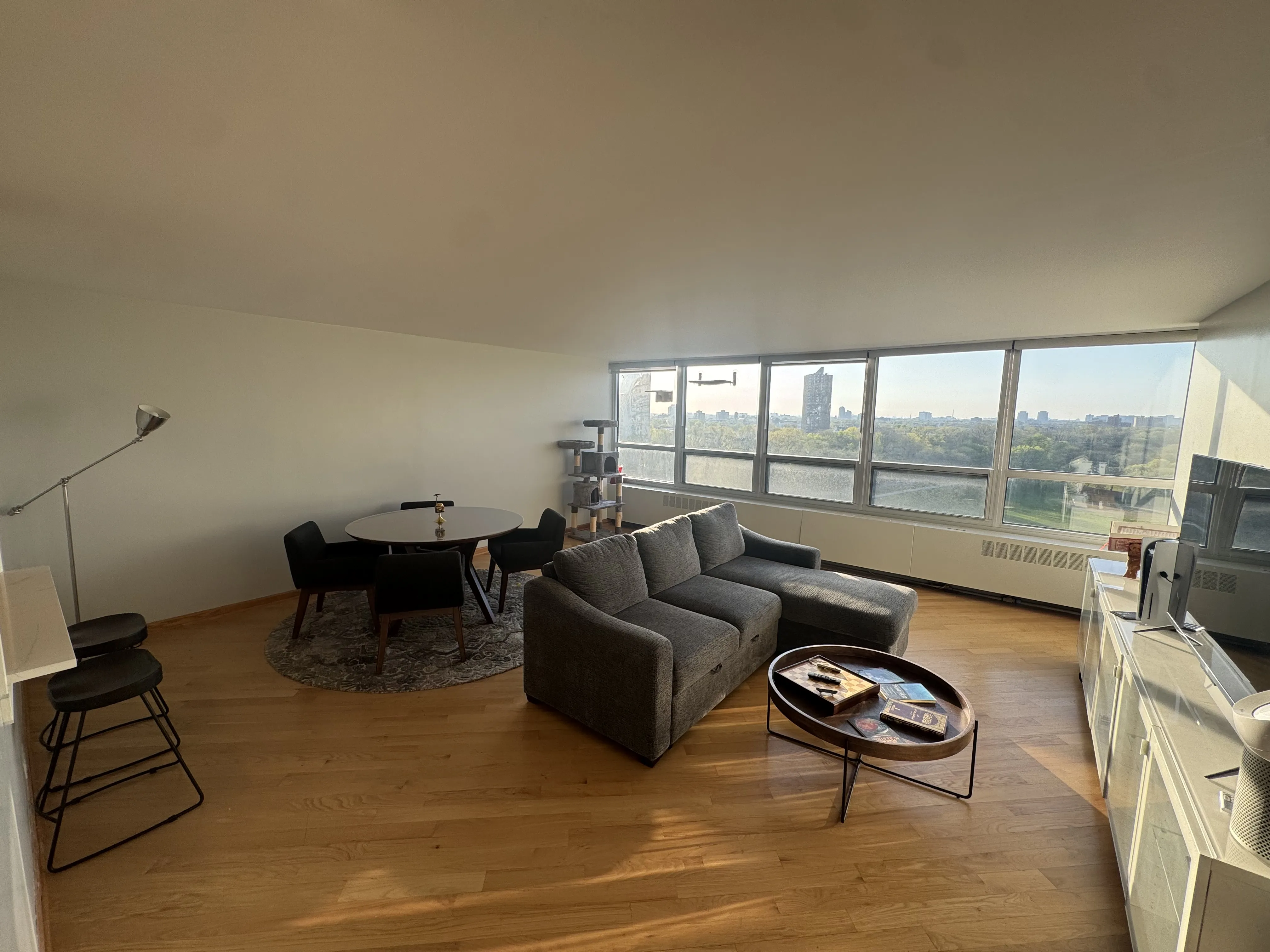 4800 S  Beach Dr   60615 60615-Newport Condominiums-unit#1102 N-Chicago-IL
