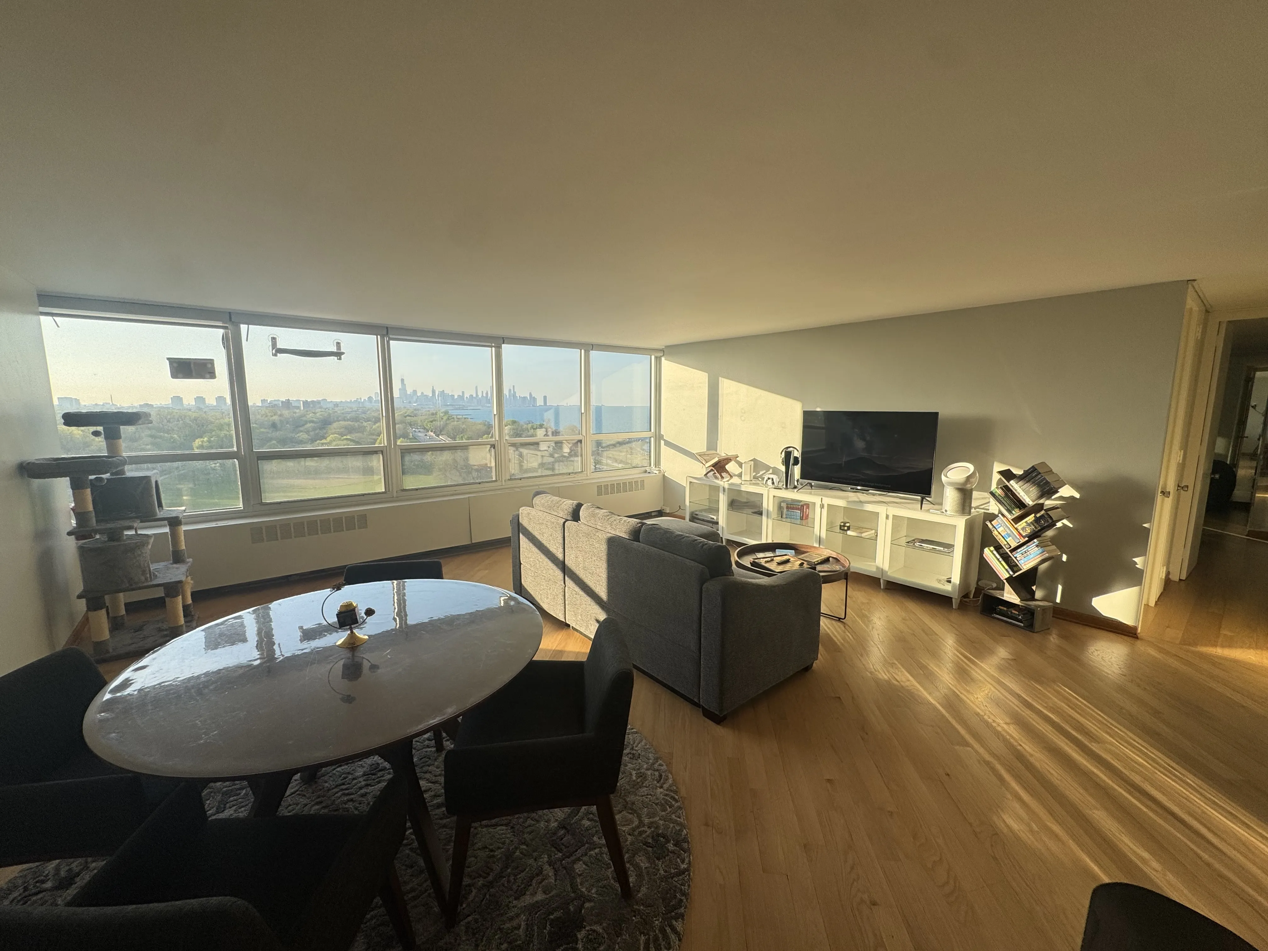 4800 S  Beach Dr   60615 60615-Newport Condominiums-unit#1102 N-Chicago-IL