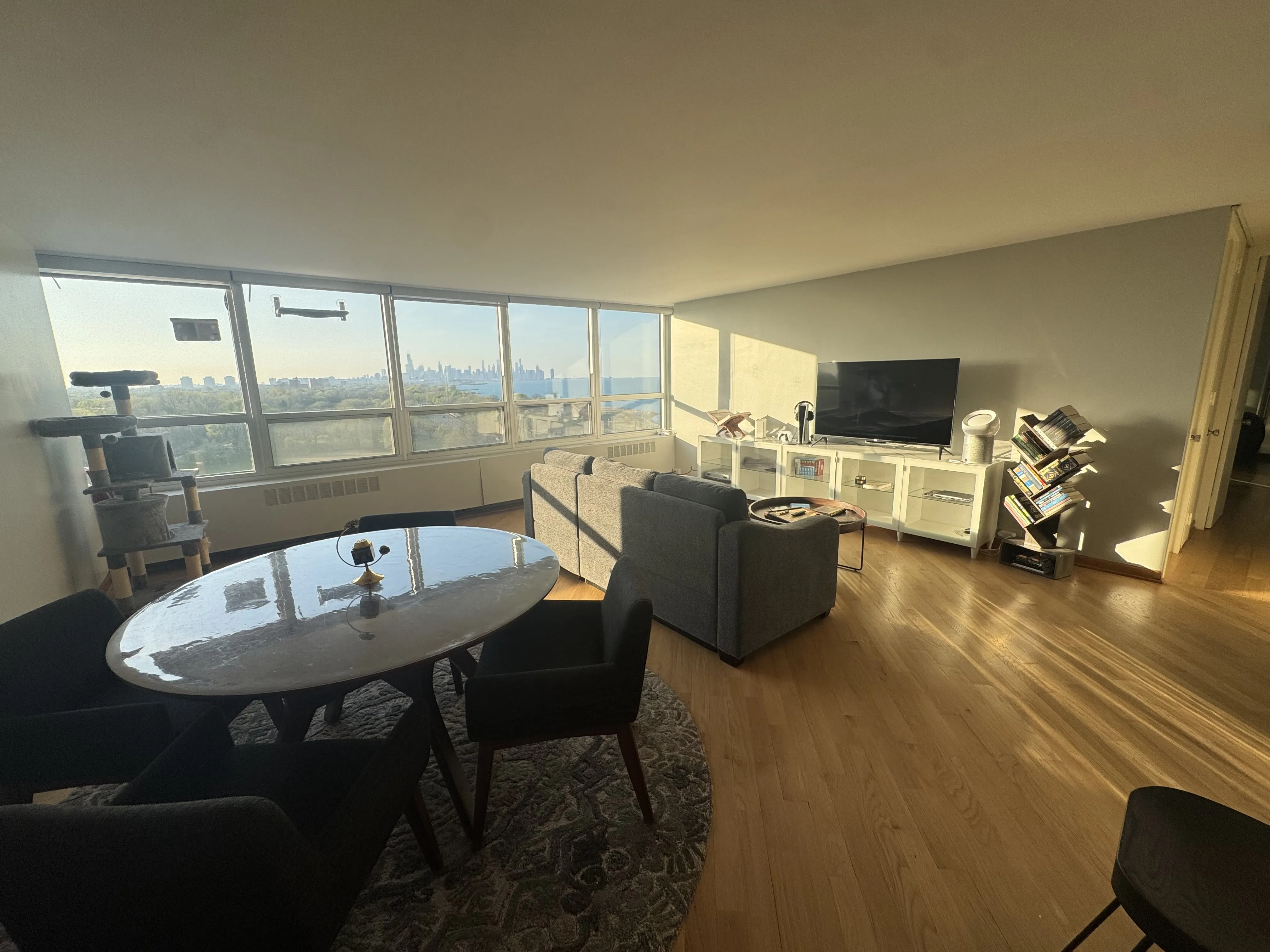 4800 S  Beach Dr   60615 60615-Newport Condominiums-unit#1102 N-Chicago-IL