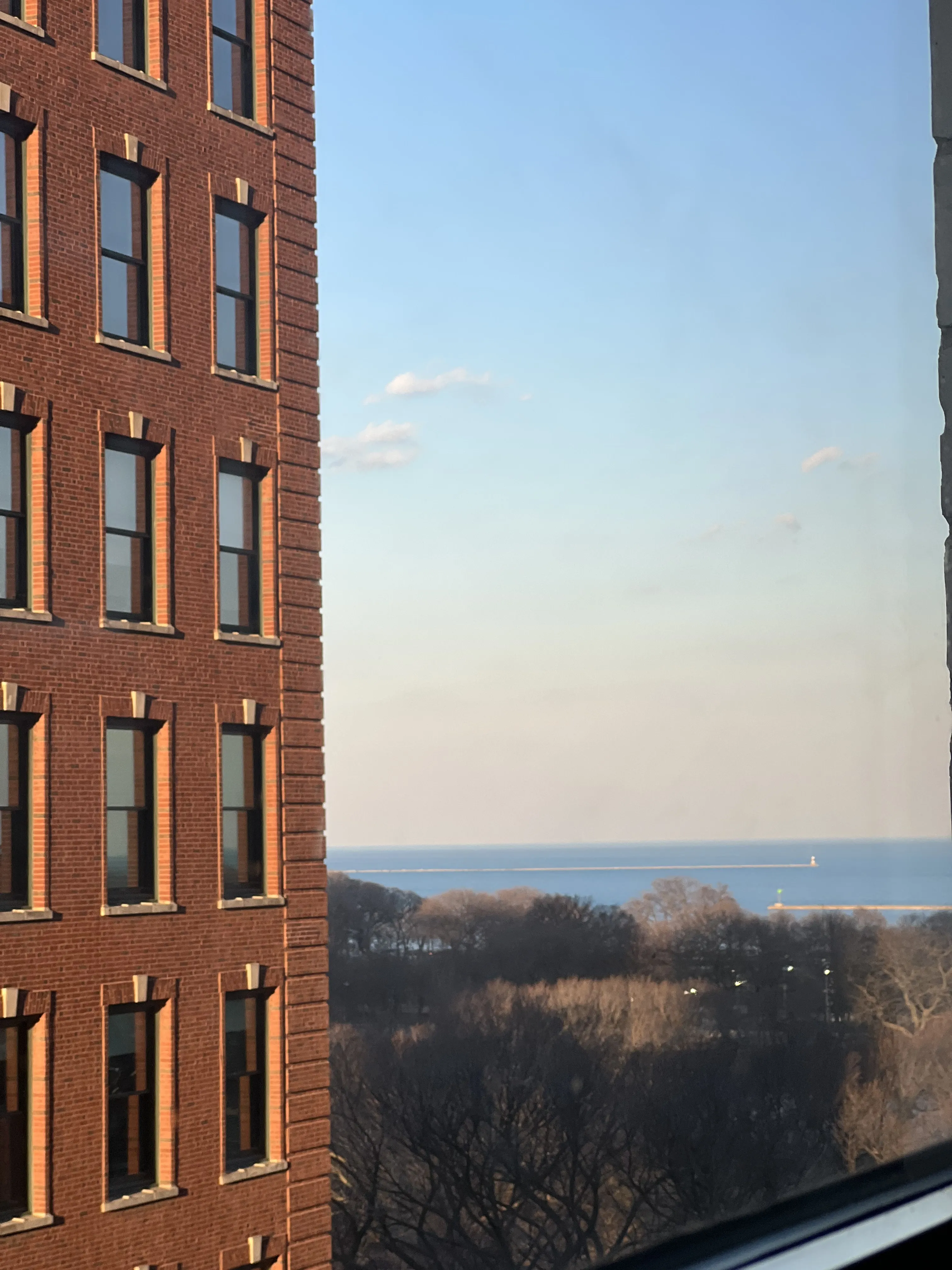 910 S Michigan Ave 60605 60605-Chicago-IL