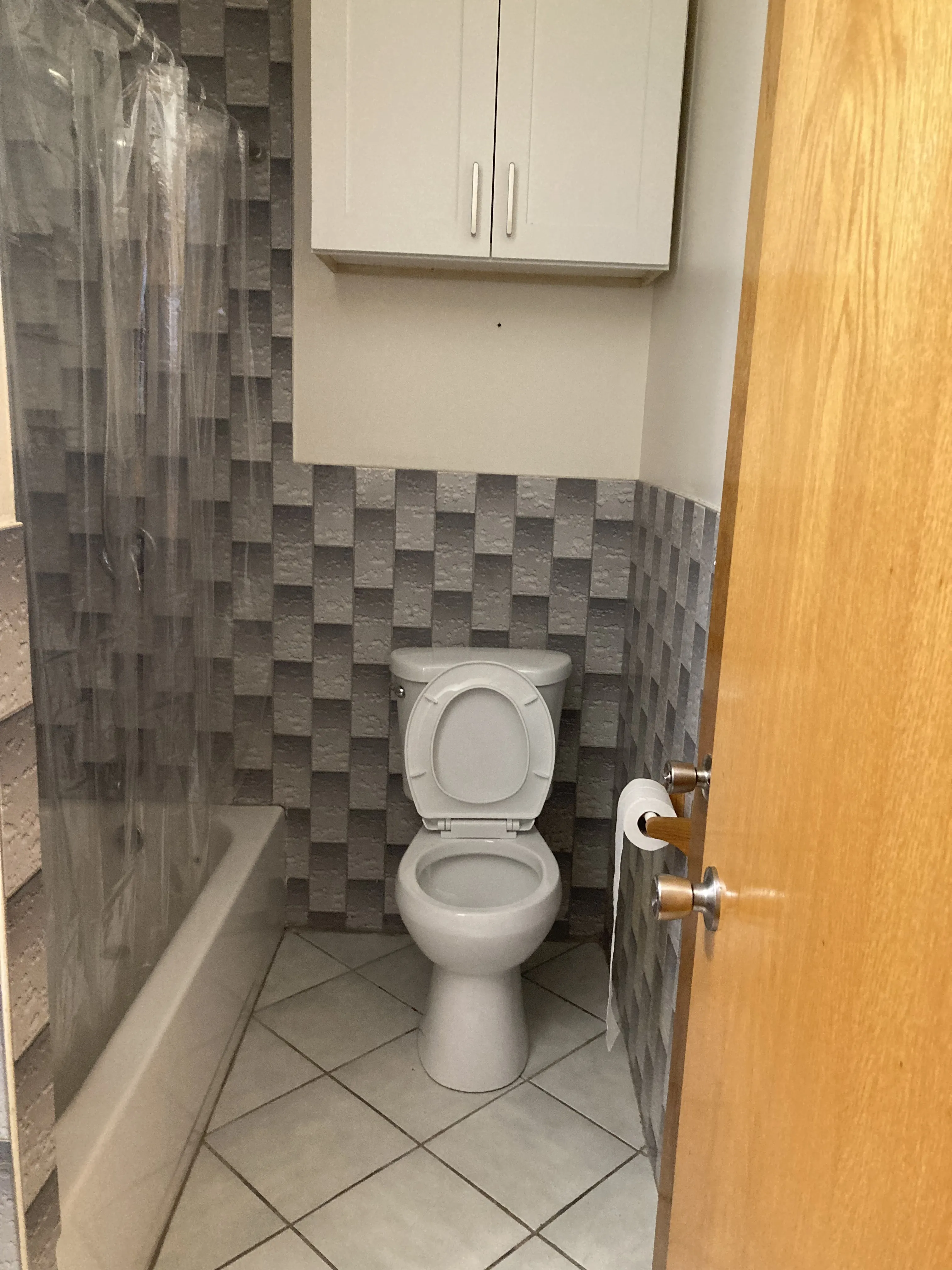 1247 W Erie St 60642 60642-1247 W Erie-unit#3-Chicago-IL