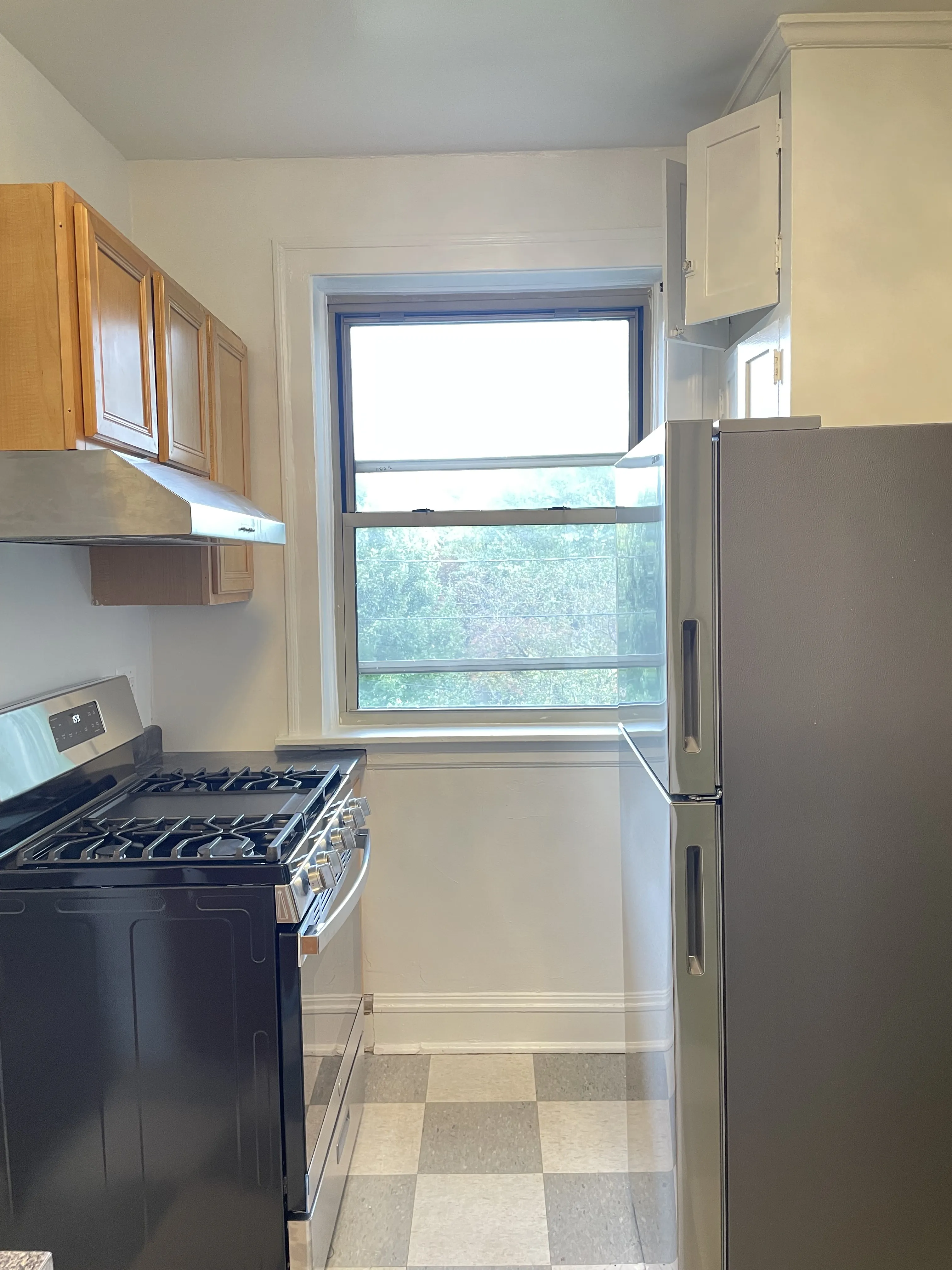 1725 W. Thorndale 60660-Hermitage Andersonville Apartments-unit#2B-Chicago-IL