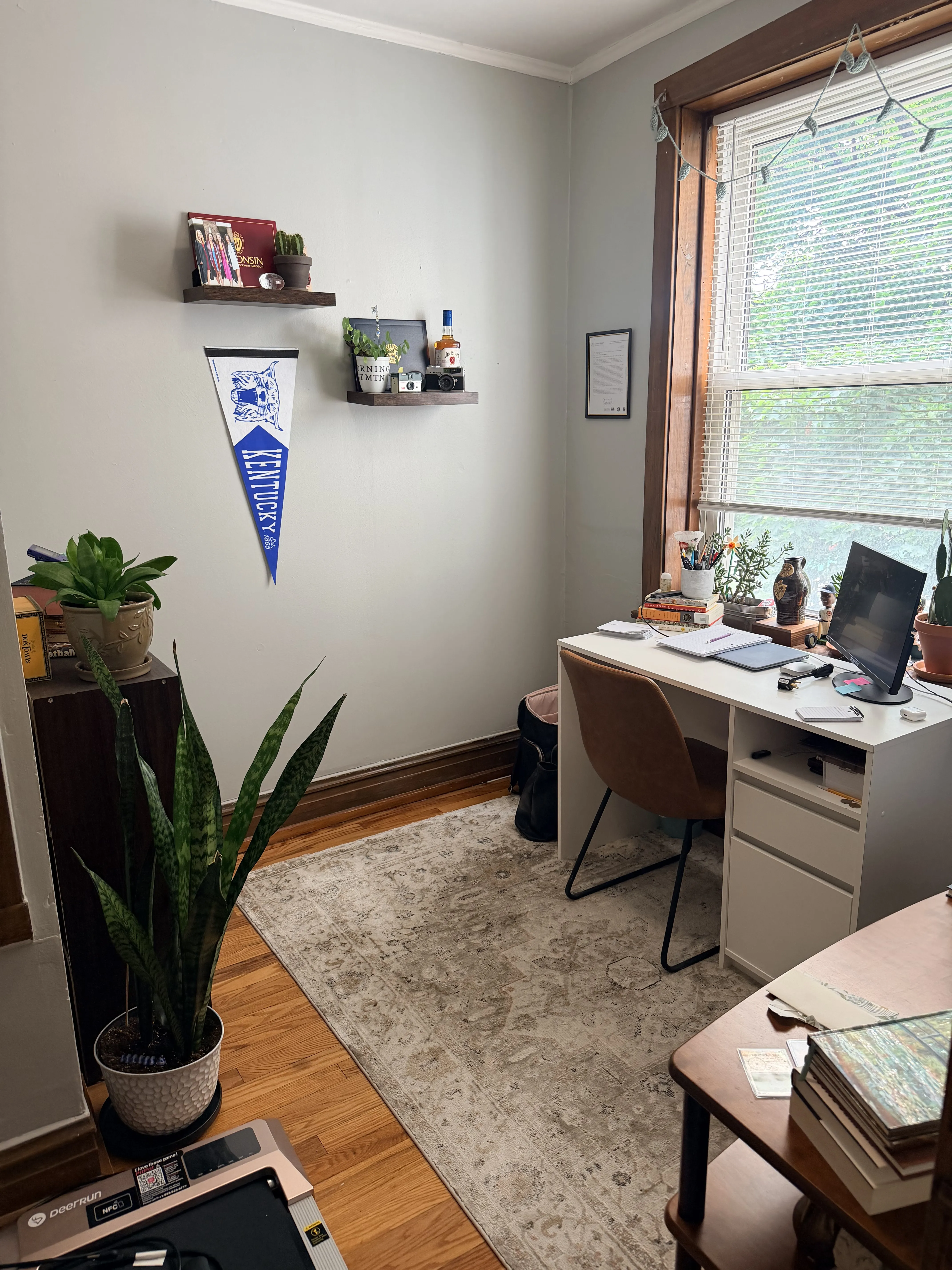 3063 N Gresham Ave 60618 60618-unit#2-Chicago-IL