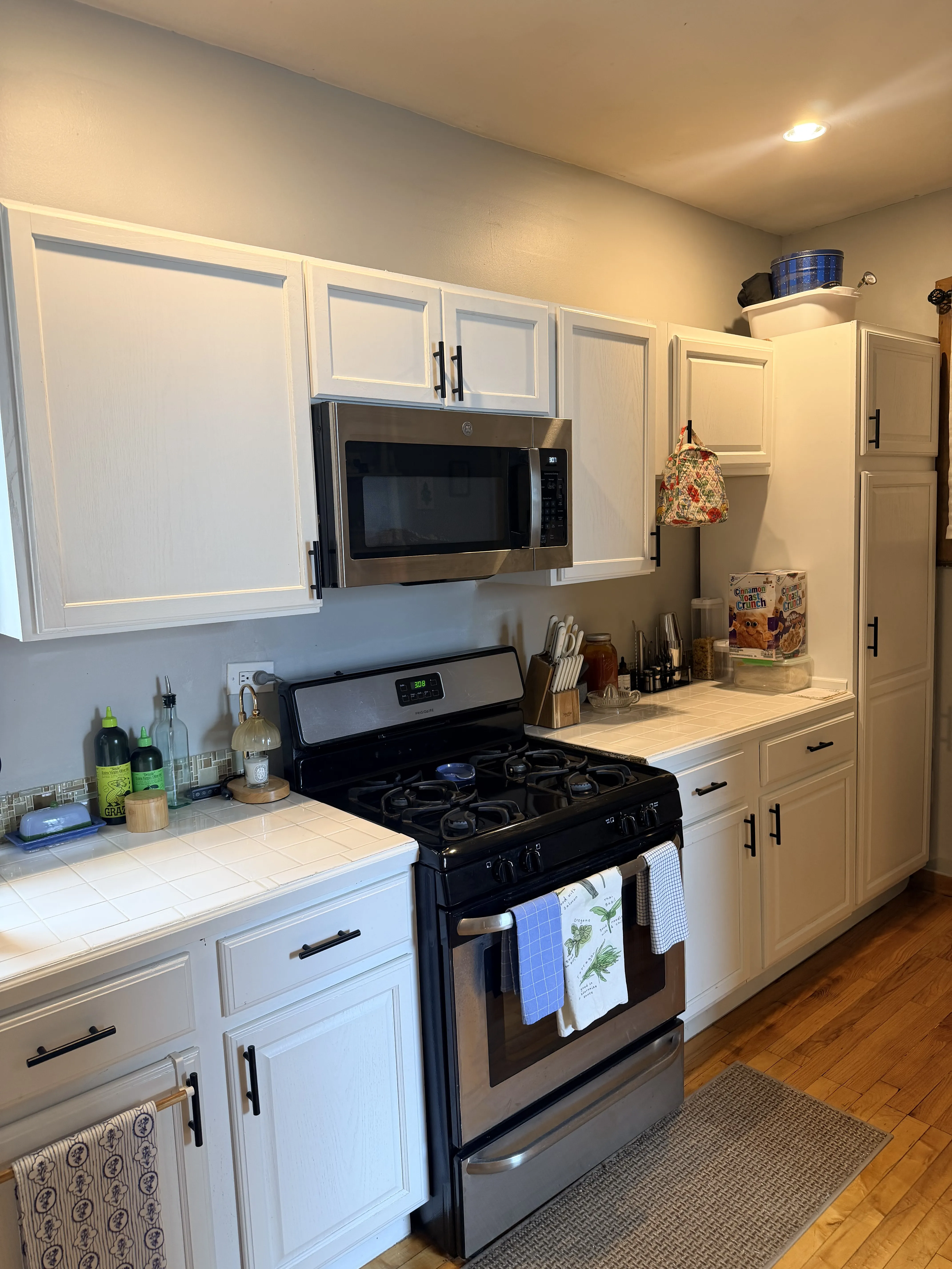 3063 N Gresham Ave 60618 60618-unit#2-Chicago-IL
